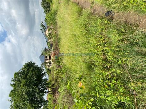 Land For Sale New Jerusalem Afienya Afienya Tema Accra Pid Paetr