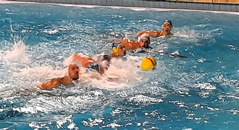 Bourbon Lancy Water Polo Le Traditionnel Match Pour Clore La Saison