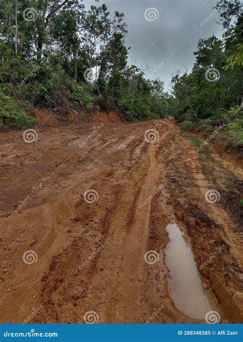 Muddy Road In Borneo Jungle Stock Image Image Of Infrastructure