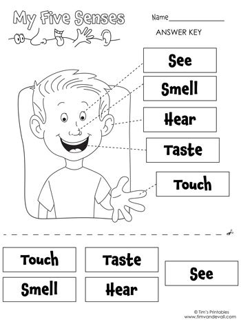 Download free printable 5 Senses Worksheets 10 for kids - Worksheets ...