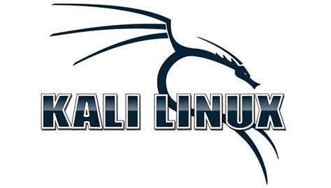 Cómo Instalar Kali Linux En Android Tutorial Paso A Paso