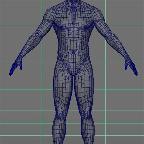 Human Male Base Mesh 3d Model 7 Obj Unknown Fbx Ma Free3d