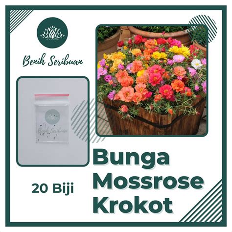 Jual Bibit Mossrose 20 Benih Bunga Krokot Moss Rose Mix Tanaman Hias