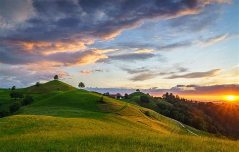 Wallpaper Greens Field Forest The Sky The Sun Clouds Trees