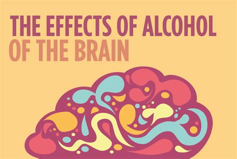 The Effects Of Alcohol On The Brain Alcohol Addiction Idaho