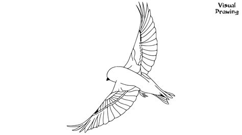 American Goldfinch Drawing