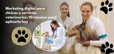 Impulsa Tu Cl Nica Marketing Digital Para Cl Nicas Veterinarias