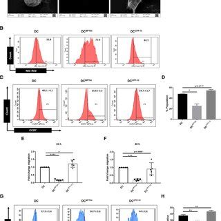 Induction Of Morphological Changes And Impairment In The Migratory