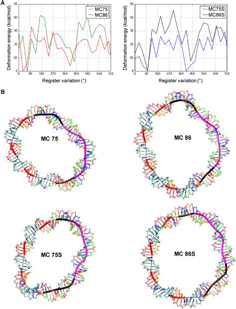 Figure From Dna Minicircles Clarify The Specific Role Of Dna