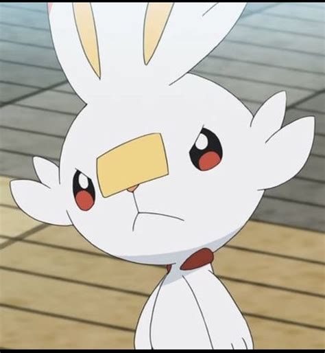 Scorbunny Screenshot In Pokemon Cute Pokemon Anime