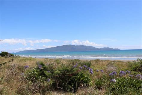 Kapiti Island: A Haven for Wildlife and Natural Beauty