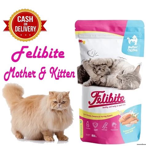 Jual Makanan Kucing Felibite Mother Kitten Gr Shopee Indonesia