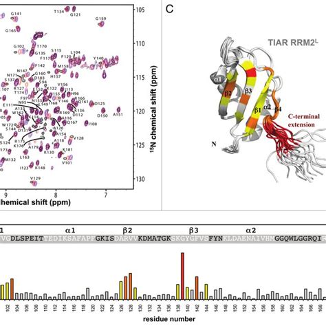 Tia Protein Sequence Alignment And Domain Structure A Sequence