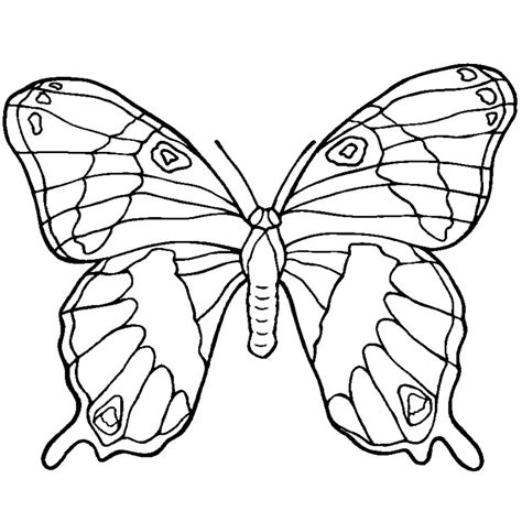 Coloriage Mandalas Papillon 117396 Mandalas Dessin à Colorier