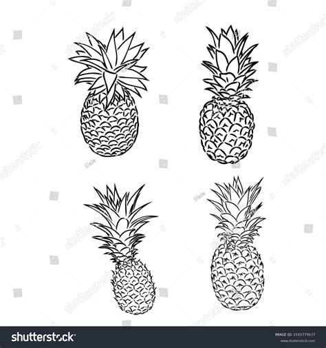 Image Pineapple Fruit Vector Black White Stock Vector Royalty Free 2165779637 Shutterstock