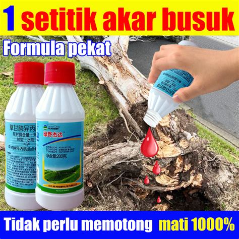 tree poison  powerful killer tree fast dead ml large wood tree