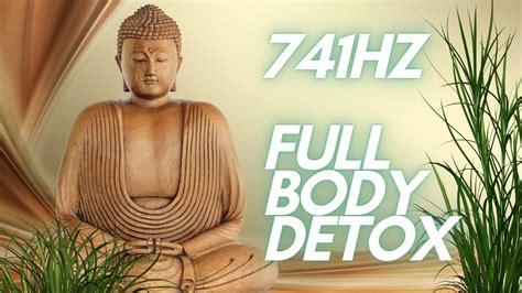 Hz Full Body Detox Aura Cleanse Remove Toxins Youtube