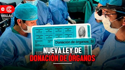 Nueva Ley De Donaci N De Rganos Desde Cu Ndo Estar Vigente Walac