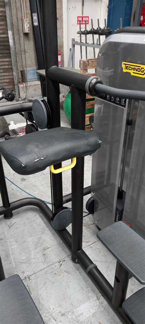 Technogym Kneeling Easy Chin Dip Grays Fitness