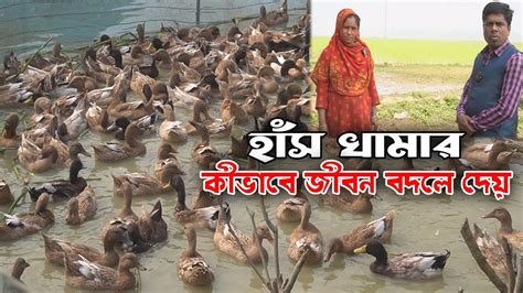 হাঁস খামার কীভাবে জীবন বদলে দেয় হাঁসের খামার Duck Farming Khamar