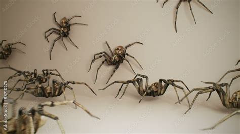 Dozens Of Big Venomous Spiders Crawling Across The Dark Green Wall