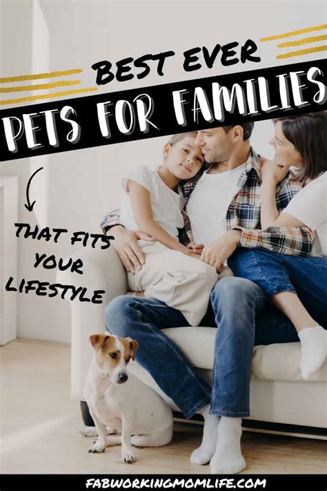 The Best Pets For Young Families Fab Working Mom Life