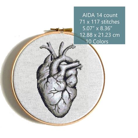 Human Anatomy Cross Stitch Pattern Pdf Human Heart Cross Etsy