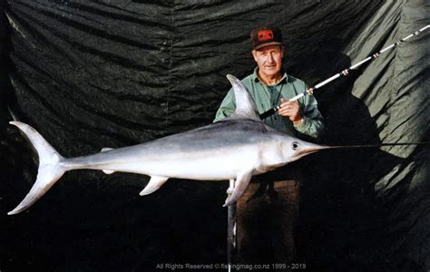 Broadbill Swordfish Xiphias Gladius Common In New Zealand Waters