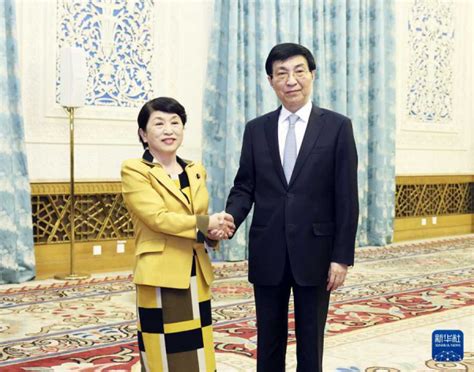 Wang Huning Meets With A Delegation Of The Social Democratic Party Of Japan