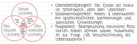 BLP Grundlagen Karteikarten Quizlet