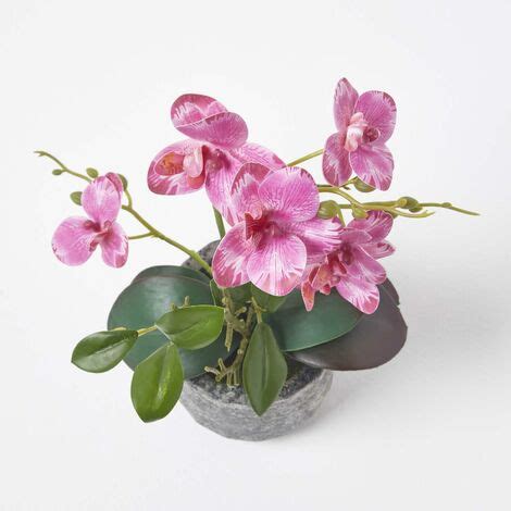 HOMESCAPES Künstliche pinke Phalaenopsis Orchidee im grauen Zement Topf