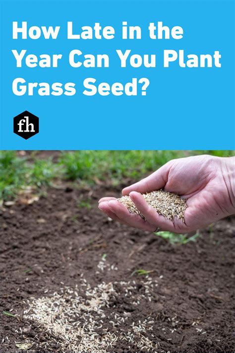 How Late In The Year Can You Plant Grass Seed Artofit