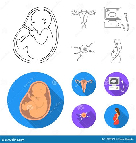 Útero Aparato Del Ultrasonido Fertilización Iconos Determinados De La