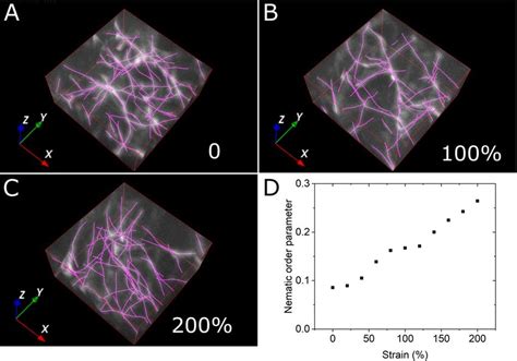 Measuring Deformation Of 3D Fibrin Networks In Confocal Rheology Image