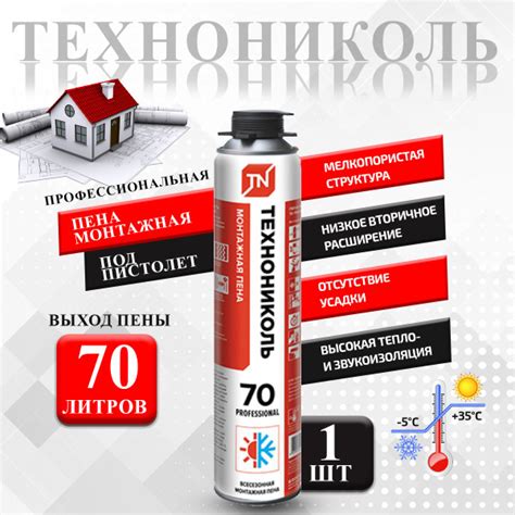 Профессиональная монтажная пена ТЕХНОНИКОЛЬ PROFESSIONAL 70 ...