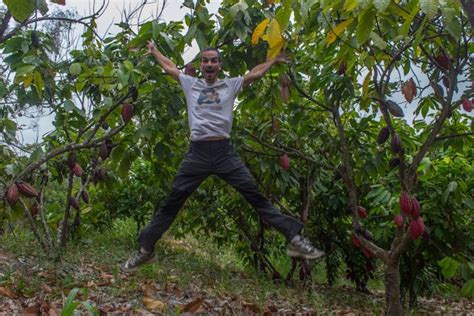 Rutas Del Cacao Y Chocolate En Ecuador Ecuador Haciendas Rutas