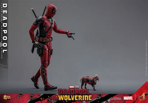 Deadpool And Wolverine Hot Toys Deadpool Figure The Toyark News