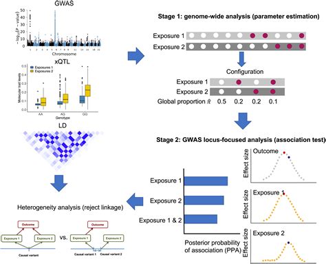 Joint Analysis Of Gwas And Multi Omics Qtl Summary Statistics Reveals A