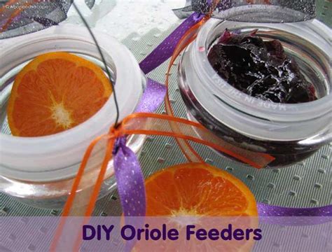 20 DIY Oriole Feeder Plans For Garden - Craftsy