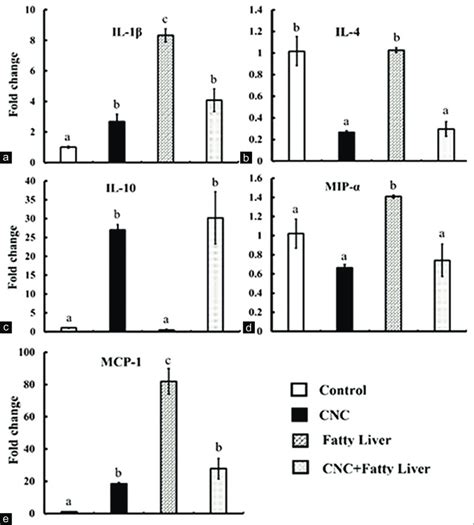 Mrna Expression Of Hepatic Interleukin Il 1β Il 4 Il 10 Macrophage