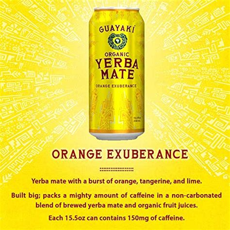 10 Best Yerba Mate Flavors Ranked (2025)