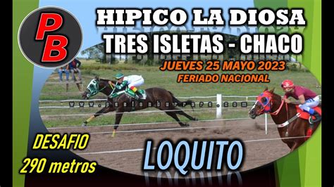 Loquito Hipico La Diosa Tres Isletas Chaco Youtube