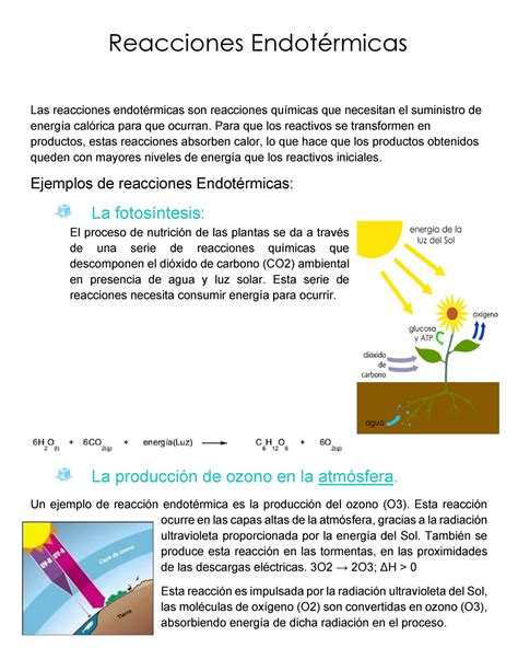 Inminente Ensayo Tent Culo Caracteristicas De Las Reacciones