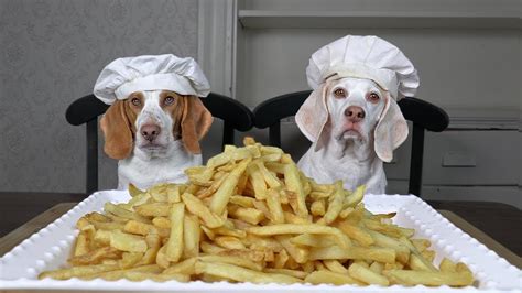 Chef Dog Vs Chef Dog French Fries Edition Who Makes The Best Youtube