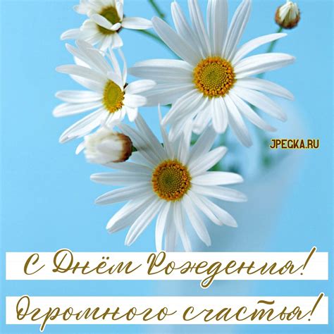 Открытки с Днём Рождения с ромашками: 50 красивых картинок