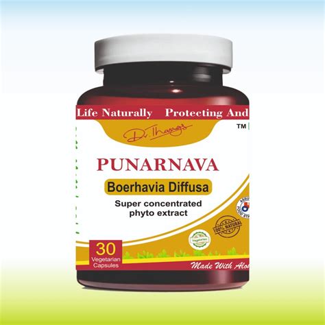 Dr Thangs Punarnava Herb Capsule Grade Standard Medicine Grade Packaging Type Vial At Rs