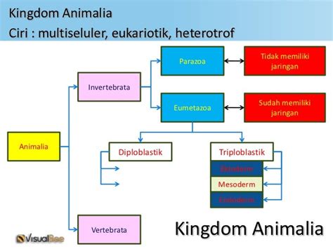 Peta Konsep Klasifikasi Makhluk Hidup