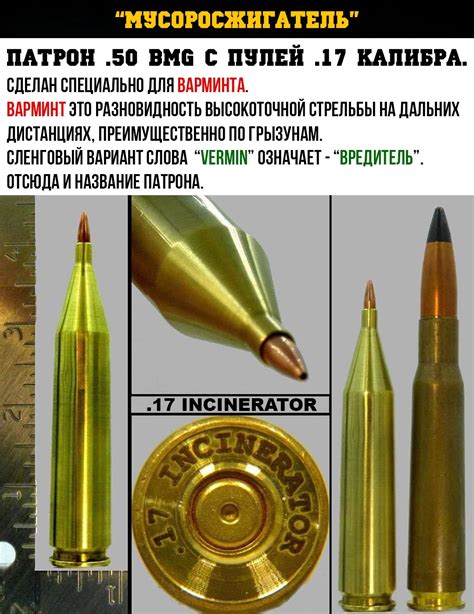 Белке в глаз | Пикабу