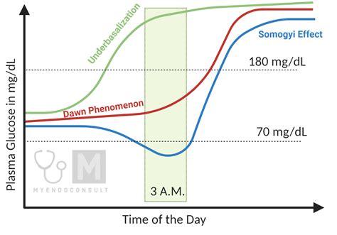 Somogyi Effect vs. Dawn Phenomenon : A Comprehensive Guide - My Endo ...