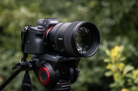 Sony 135mm F1 8 GM Lens Review Park Cameras Blog